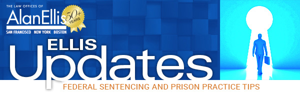 Newsletter Header